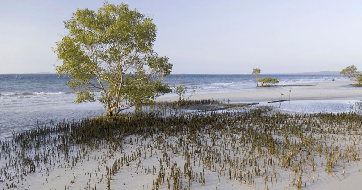 குயின்ஸ்லாந்தில் கனடியப் பெண் சடலமாக மீட்பு!