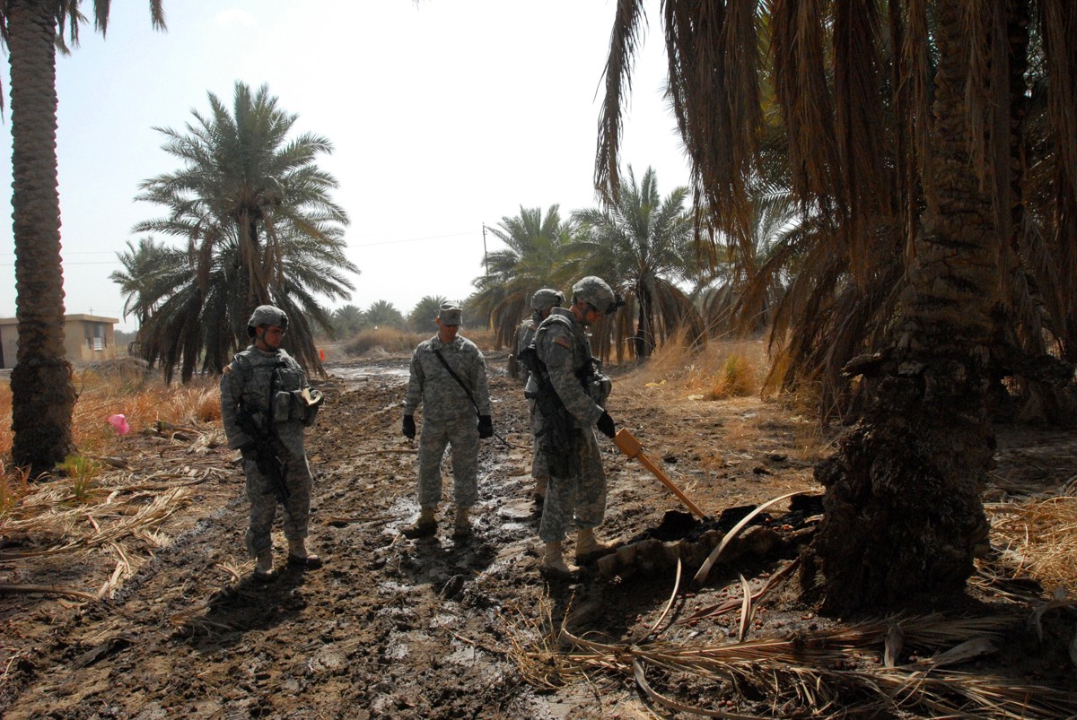 வடக்கில் ஆக்கிரமித்த காணிகளில் பனைகளை இடித்து அழிக்கும் படையினர்!
