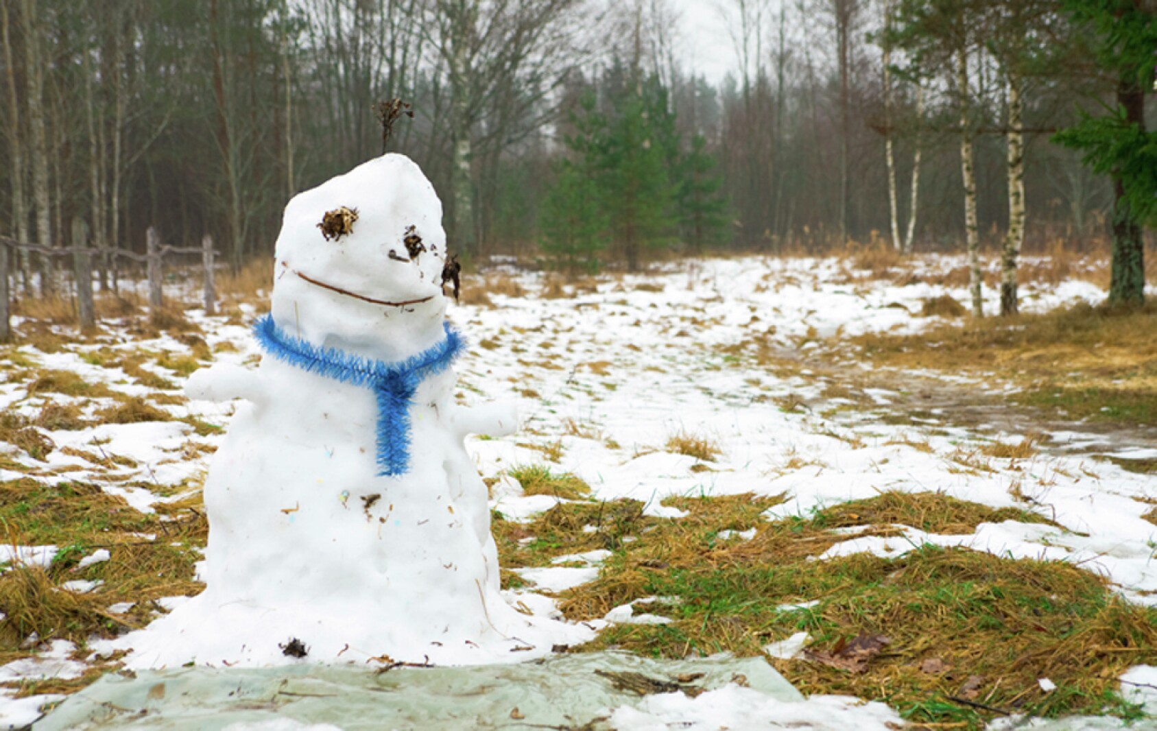 டொராண்டோ மக்களுக்கு எச்சரிக்கை!