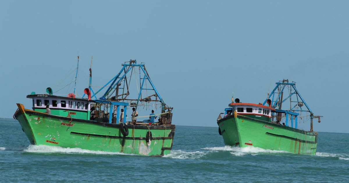தமிழகத்தின் புதிய முதலமைச்சருக்கு வடபகுதி மீனவர்களின் கோரிக்கை!